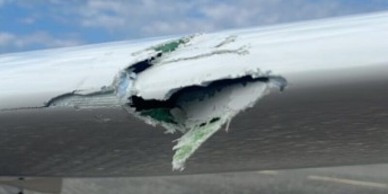 Flügelschaden an der D-EQCC repariert